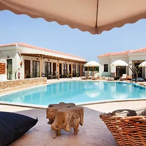 https://casa-afytos.hotelschalkidiki.net